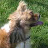 Picture of Bab
