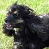 Picture of Zoe
